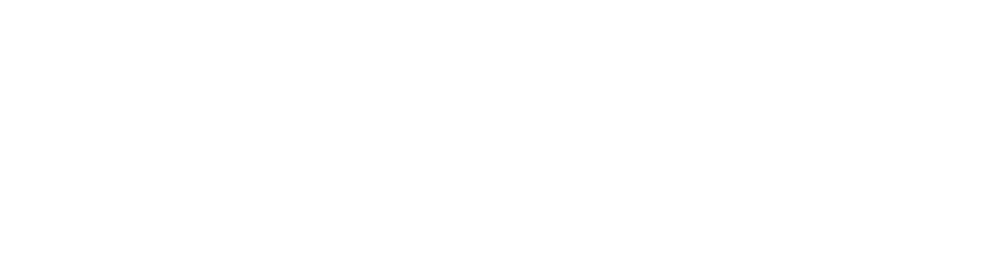website logo - white